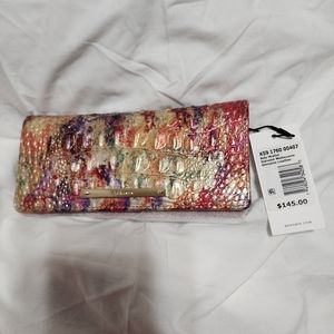 Brahmin addy wallet